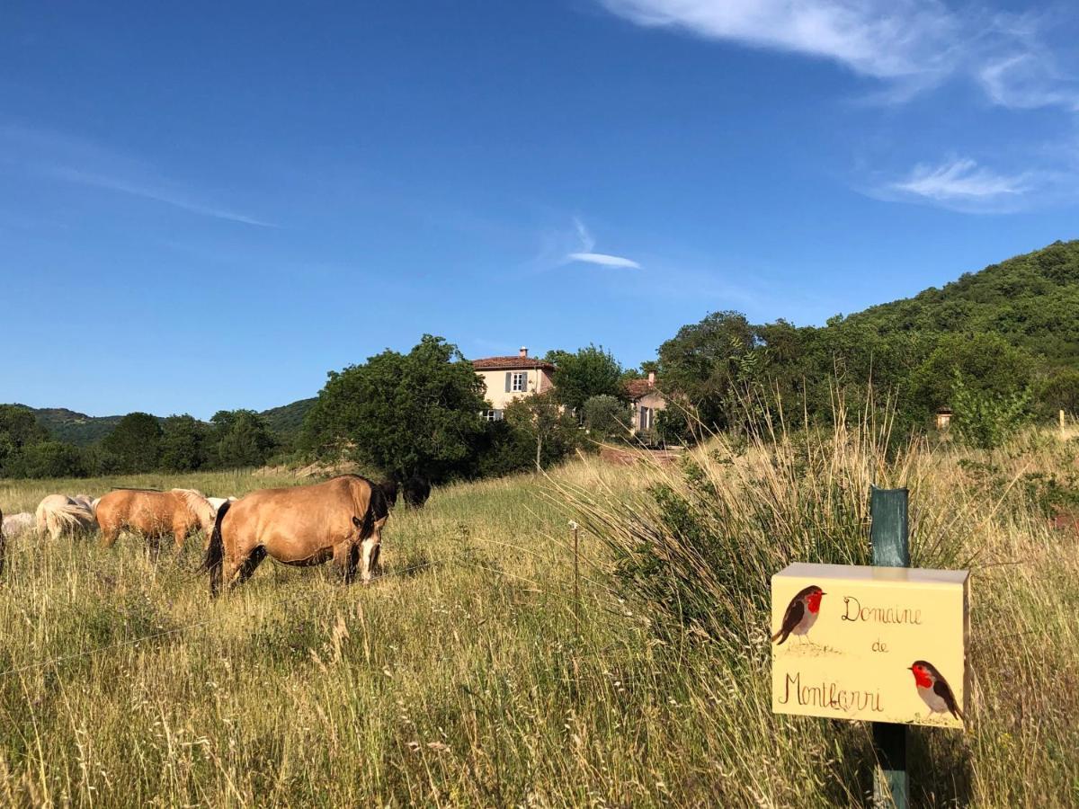 Domaine De Montbarri Acomodação com café da manhã La Tour-sur-Orb Exterior foto