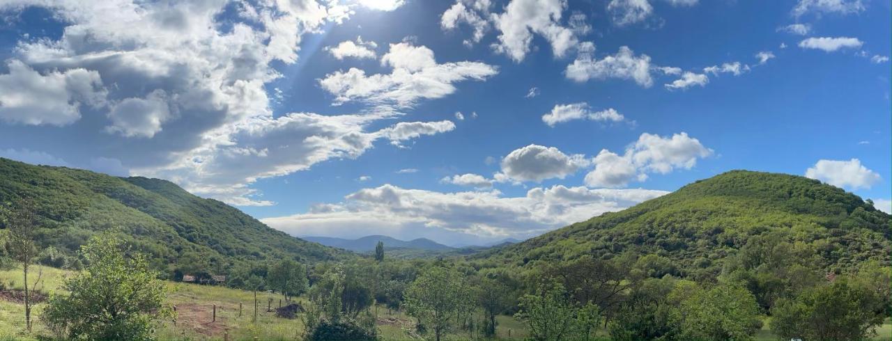 Domaine De Montbarri Acomodação com café da manhã La Tour-sur-Orb Exterior foto