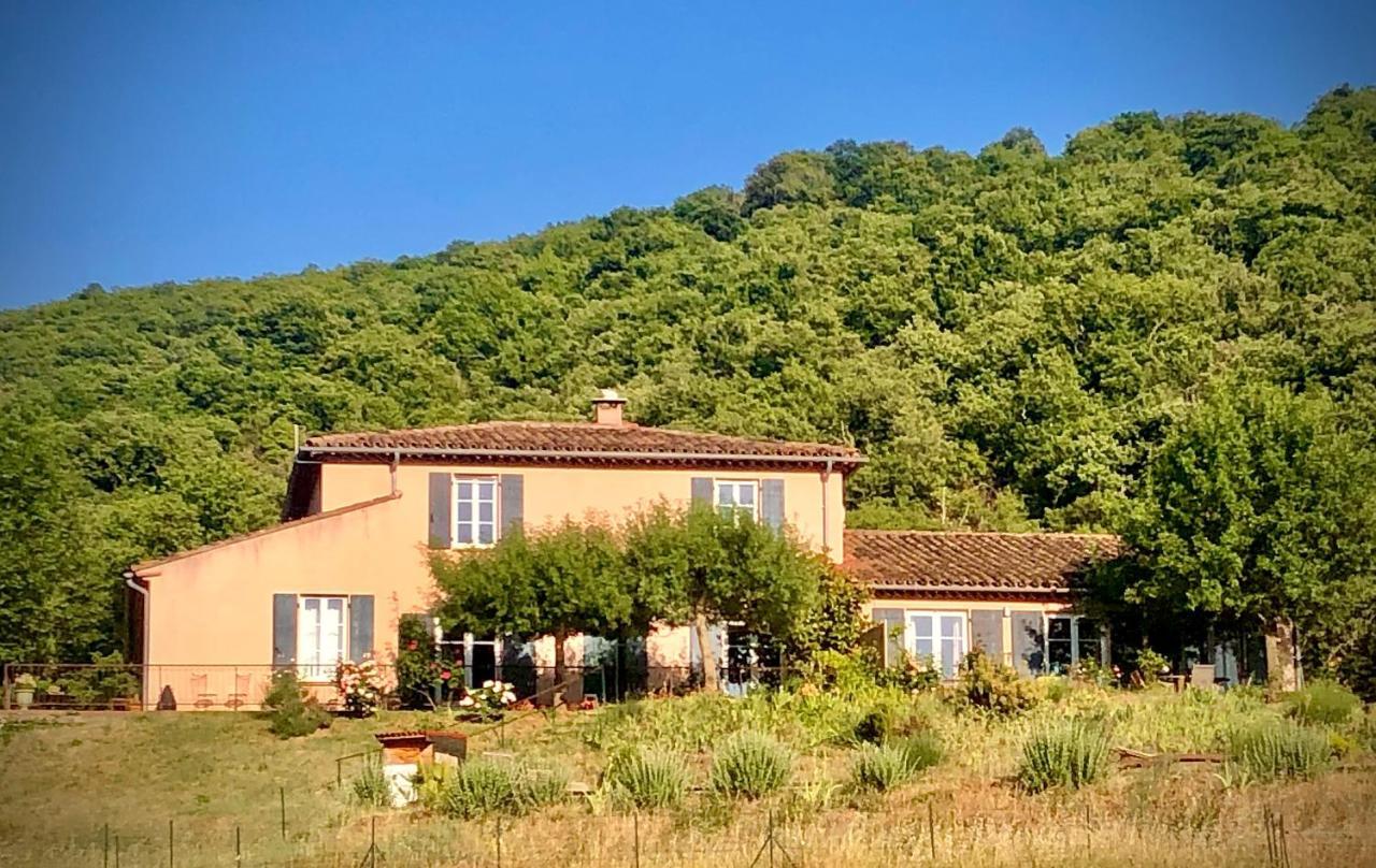 Domaine De Montbarri Acomodação com café da manhã La Tour-sur-Orb Exterior foto